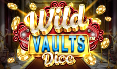 Synot - Wild Vaults Dice